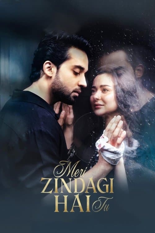 Постер: Meri Zindagi Hai Tu
