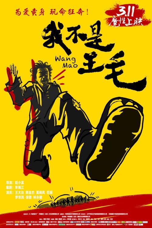 Постер: 我不是王毛