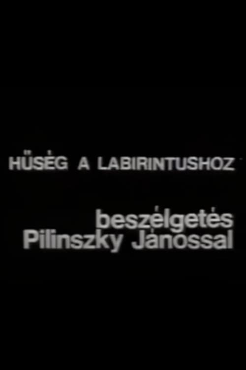 Постер: Hűség a labirintushoz – Beszélgetés Pilinszky Jánossal