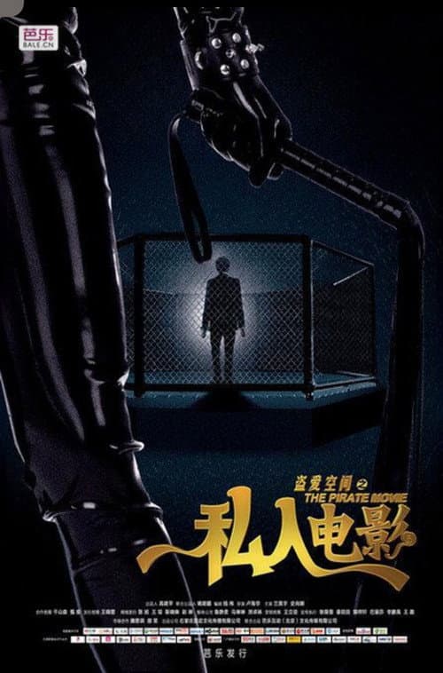 Постер: 盗爱空间之私人电影