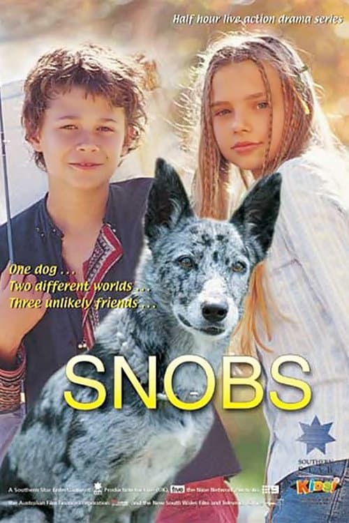Постер: Snobs