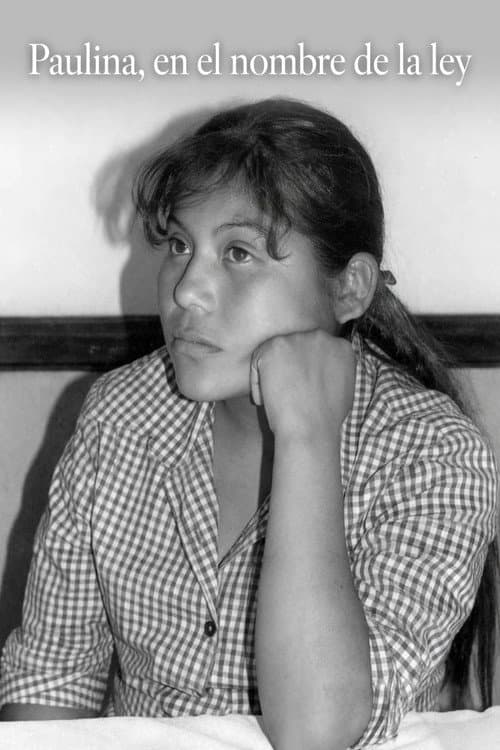 Постер: Paulina, en el nombre de la ley