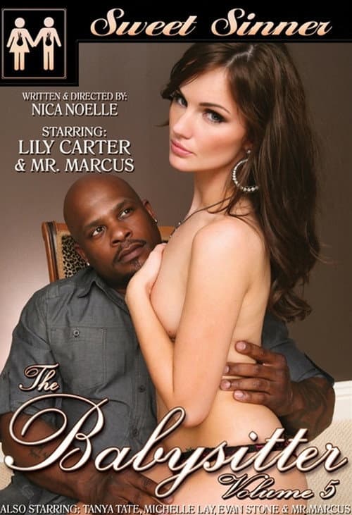 Постер: The Babysitter 5