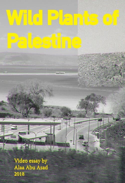Постер: Wild Plants of Palestine