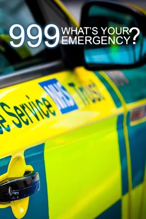 Постер: 999: What's Your Emergency?