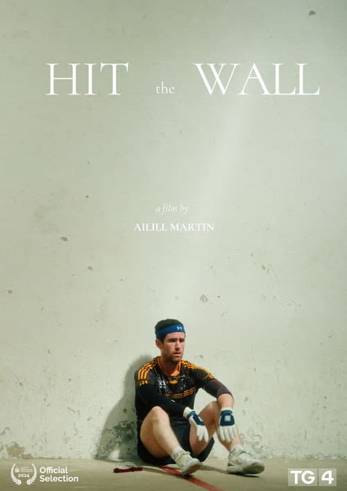 Постер: Hit the Wall