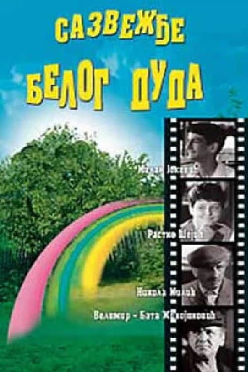 Постер: Sazvežđe belog duda
