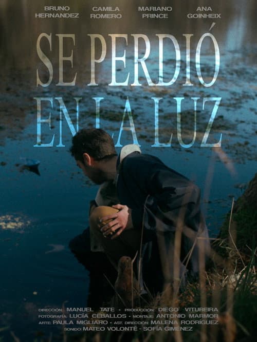 Постер: Se Perdió en la Luz