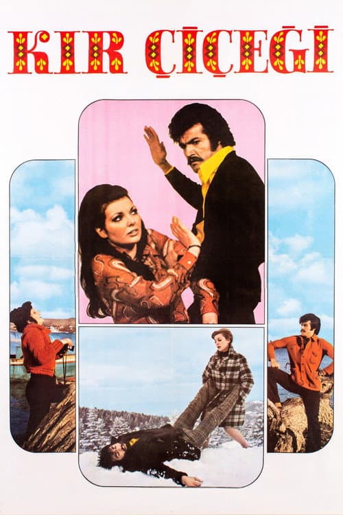 Постер: Kır Çiçeği