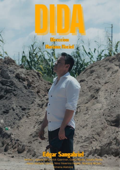 Постер: DIDA