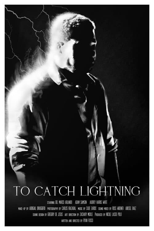 Постер: To Catch Lightning