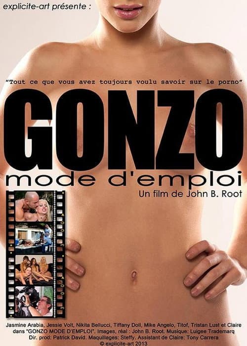 Постер: Gonzo mode d'emploi