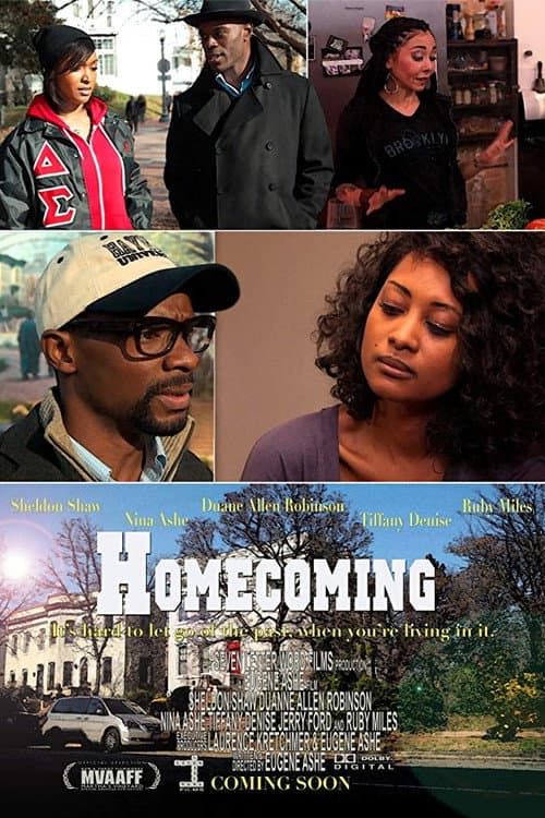 Постер: Homecoming