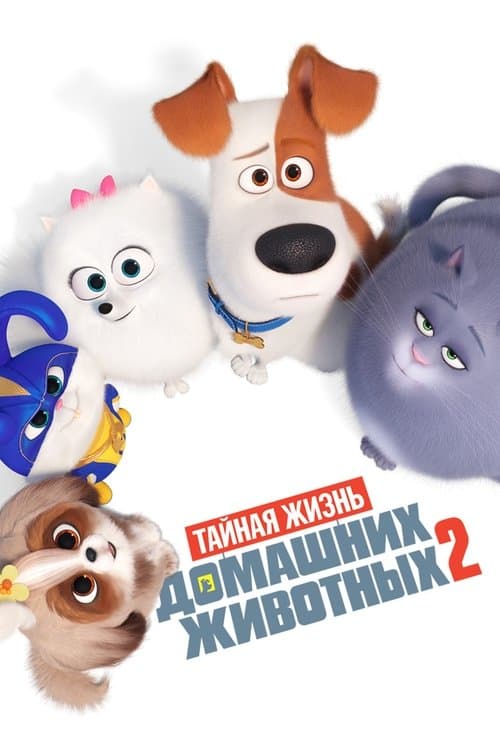 Постер: Тайная жизнь домашних животных 2