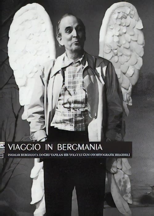 Постер: Bergmanya'ya Yolculuk