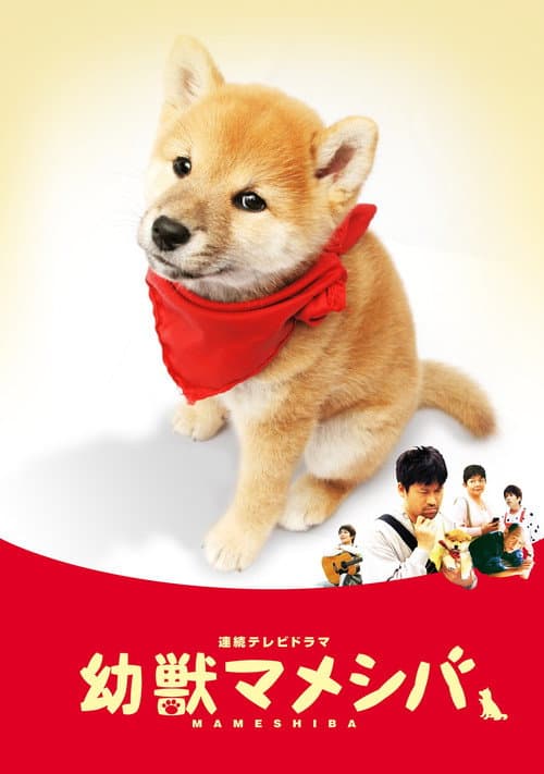 Постер: 幼獣マメシバ