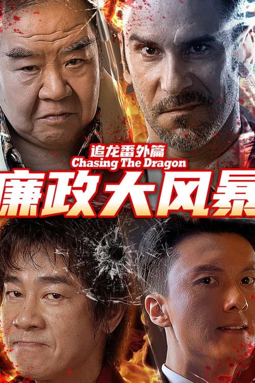 Постер: 追龙番外篇之廉政大风暴
