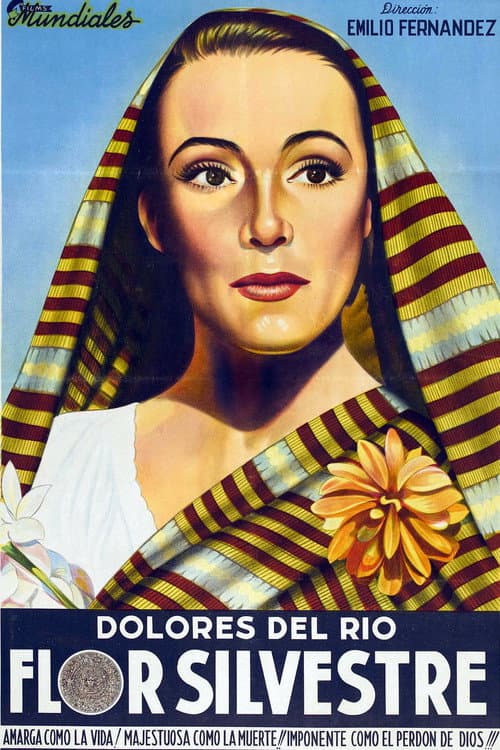Постер: Flor silvestre