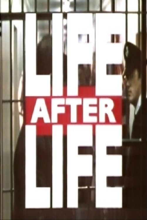 Постер: Life After Life