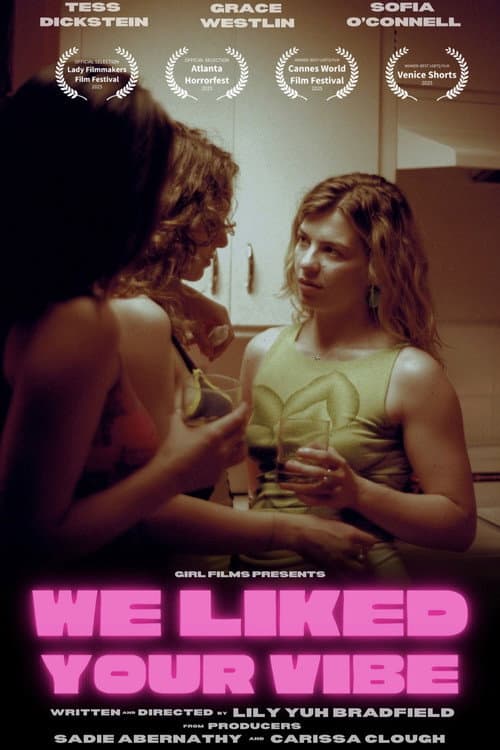 Постер: We Liked Your Vibe