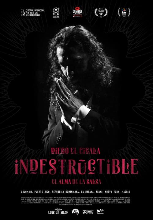 Постер: Indestructible: El alma de la salsa