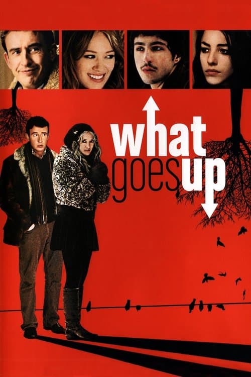 Постер: What Goes Up