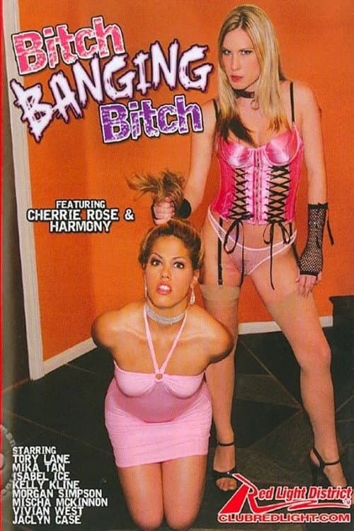 Постер: Bitch Banging Bitch