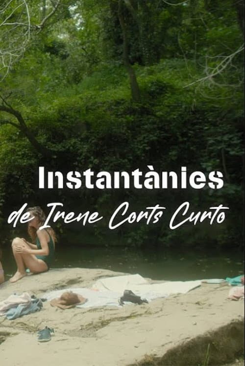 Постер: Instantànies