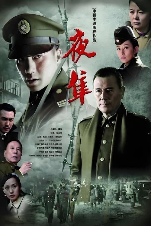 Постер: 夜隼