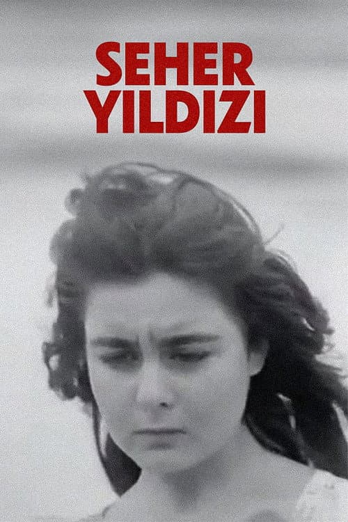 Постер: Seher Yıldızı