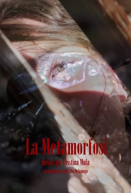 Постер: La Metamorfosi