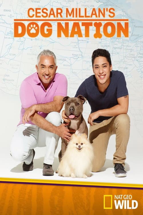 Постер: Cesar Millan's Dog Nation