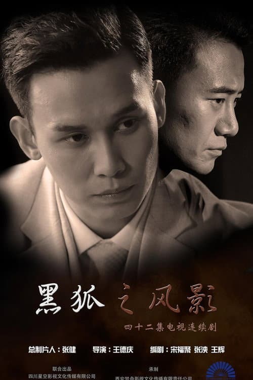 Постер: 黑狐之风影