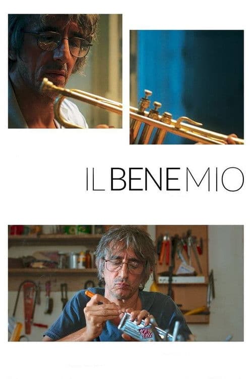 Постер: Il bene mio