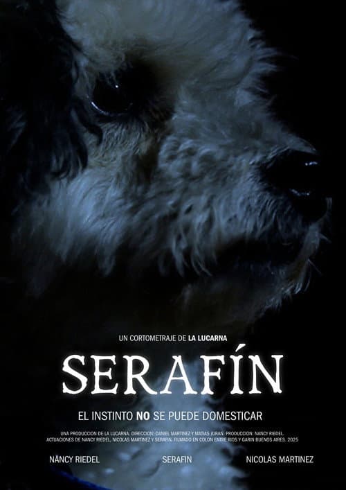 Постер: Serafín