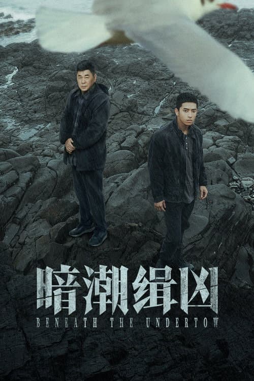 Постер: 暗潮缉凶
