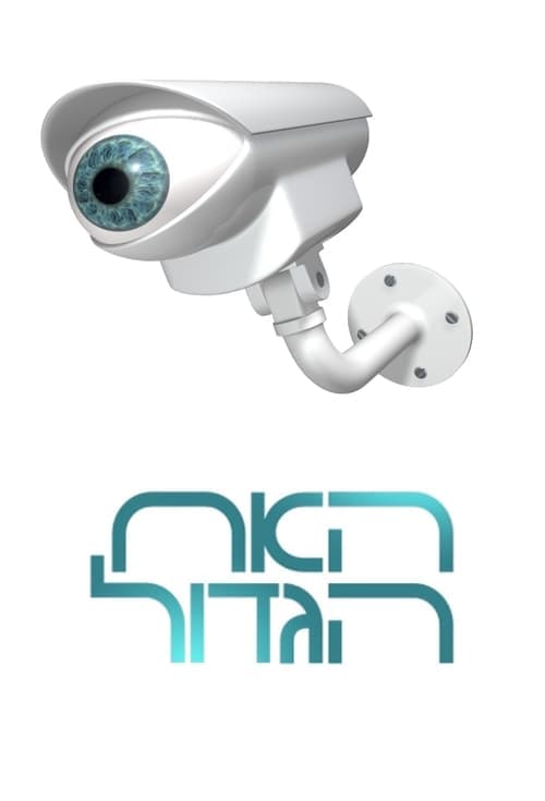 Постер: האח הגדול