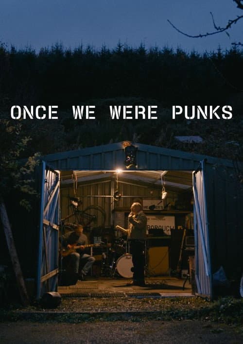 Постер: Once We Were Punks