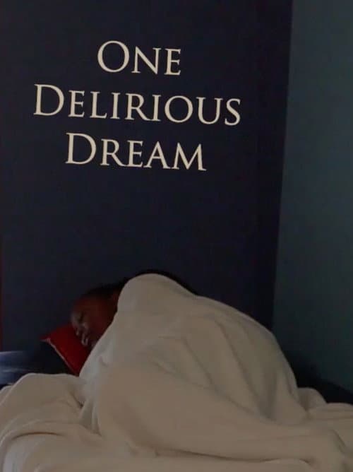 Постер: One Delirious Dream
