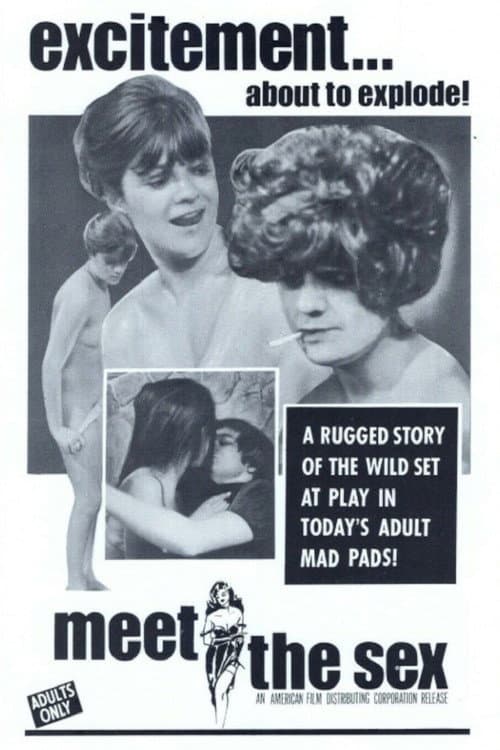 Постер: Meet The Sex