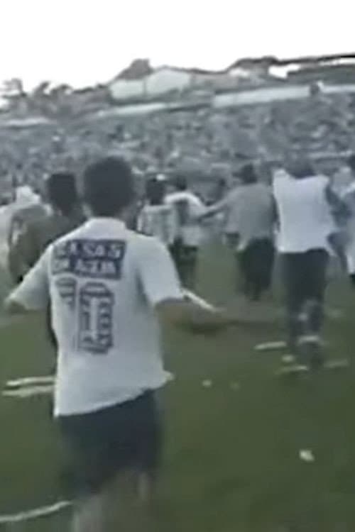 Постер: 1994 - O fim de uma longa espera