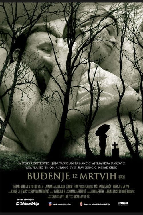Постер: Buđenje iz mrtvih