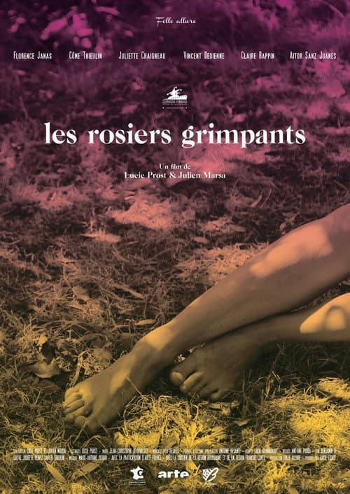 Постер: Les rosiers grimpants
