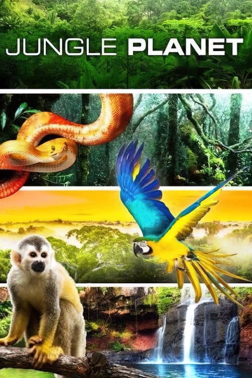 Постер: Planeta Selva
