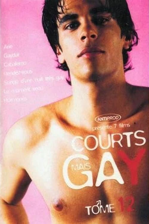 Постер: Courts mais Gay : Tome 12