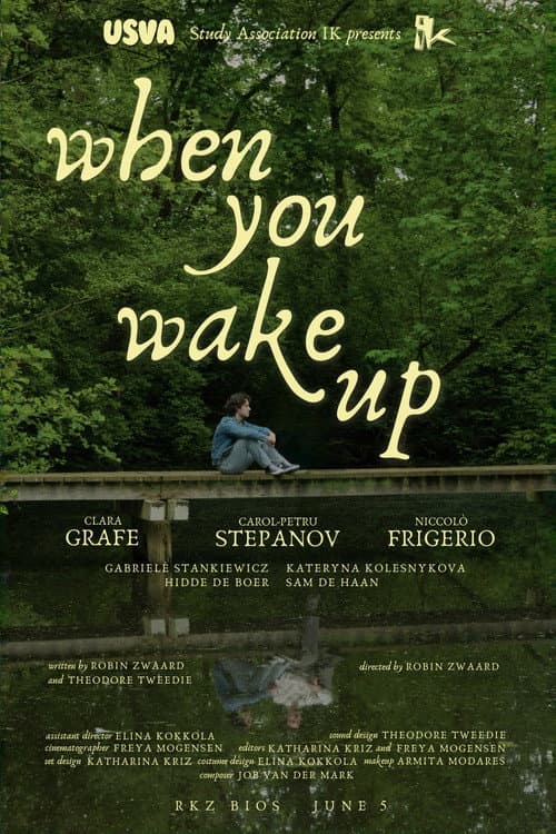 Постер: When You Wake Up