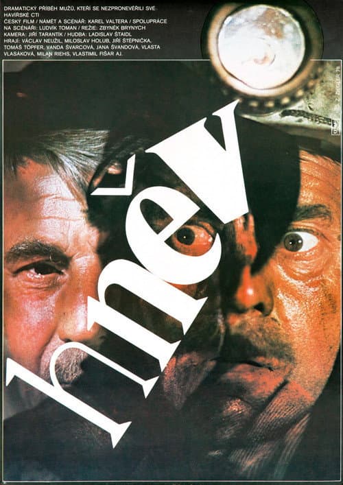 Постер: Hněv