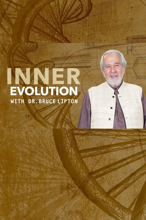 Постер: Inner Evolution