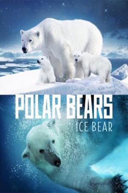 Постер: Polar Bears: Ice Bear