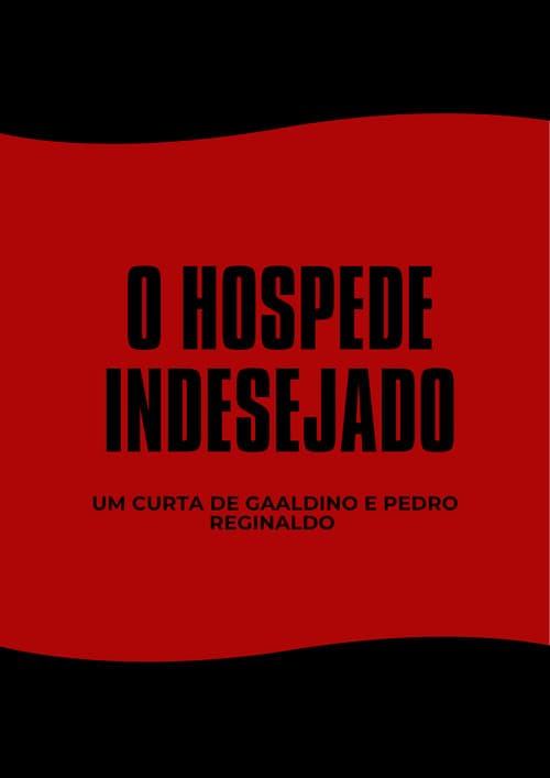 Постер: O Hóspede indesejado- A vingança